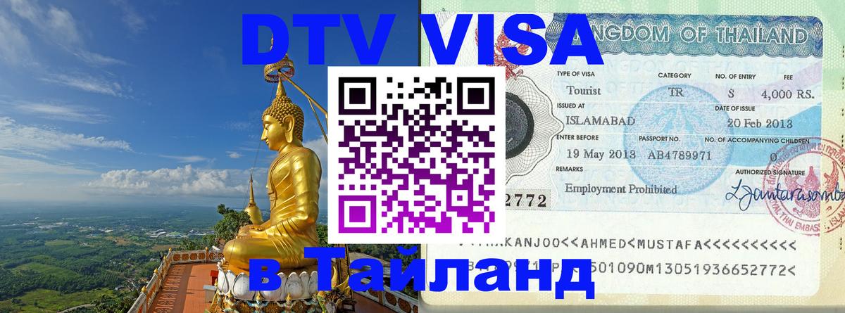 Оформление DTV визы под ключ: стоимость и тарифы, только загранпаспорт - 